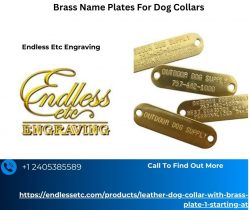 Brass Name Plates For Dog Collars