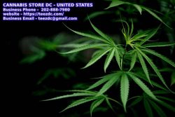 DC Cannabis Store