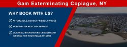 Gam Exterminating Copiague