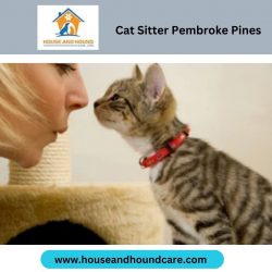 Cat Sitter Pembroke Pines