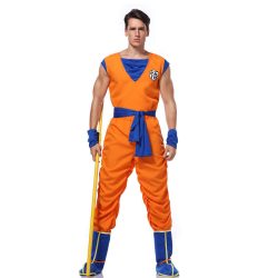 Dragon Ball Z Halloween Costumes