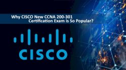 Find The Best CCNA Classes Near Me | WebAsha Technologies