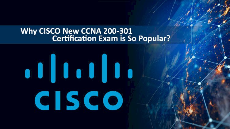 Find The Best CCNA Classes Near Me | WebAsha Technologies