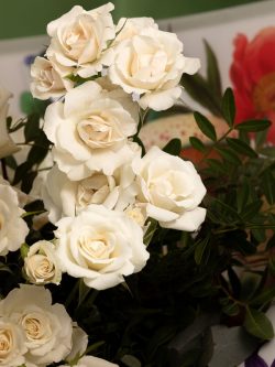 White Roses & Hydrangea Flowers Bouquet