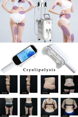 China cryolipolysis machine manufacturer-BVLASER. Cryolipolysis machine factory FDA approved. Th ...