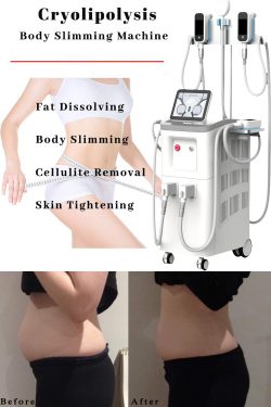 The best cryolipolysis machine manufacturer-BVLASER. Cryolipolysis fat freeze slimming machine.  ...