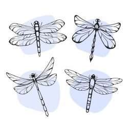 Dragonfly Svg Free