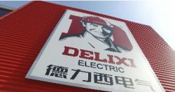 Delixi Electrical