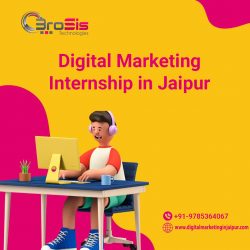 Digital Marketing Internship in Jaipur at Brosis Technologies