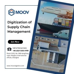 Digitization of Supply Chain Management