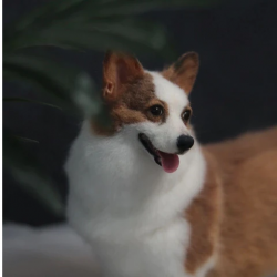 Discover the Artistry of Furborn’s Needle Felt Pet Collection