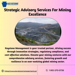 Discover The Best Advisory Services For Mining