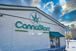 Dispensary Downtown Las Vegas NV 89101 USA