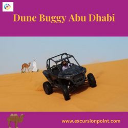 Dune Buggy Abu Dhabi