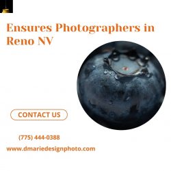 Ensures Photographers in Reno NV