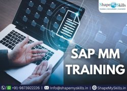 Exclusive SAP MM Training in Noida at ShapeMySkills