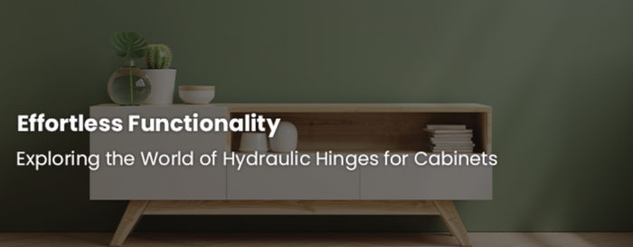 Exploring the World of Hydraulic Hinges for Cabinets