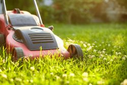 Expert Lawn Mowing Services in Parramatta – Affordable Cleaning and Gardening