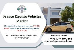 France E-Vehicles Market Share, Growth, Rising Trends, CAGR Status, Demand, Revenue, Opportuniti ...