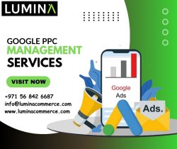 Google PPC Management Services