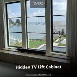 Hidden TV Lift Cabinet