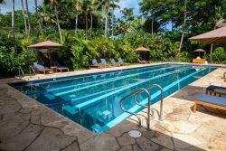 Hire Hawaii Pools’ Top Residential Pool Builders for Your Home