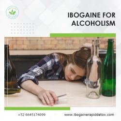 Beyond Addiction-Ibogaine’s Impact on Alcohol Recovery