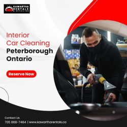 Interior Car Cleaning in Peterborough, Ontario