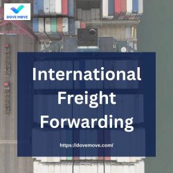 International Freight Forwarding