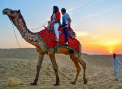 Rajasthan Tour Packages