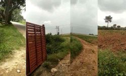 Green Horizon Beckons: Buy Your Dream Farm Plots Near Denkanikottai, Lakeview Farms.