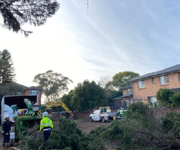 Land Clearing
