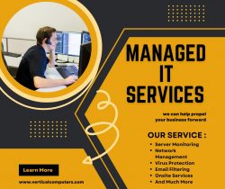 Managed IT Service Chino