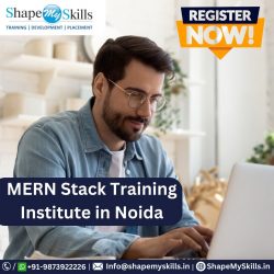 MERN Stack Online Training | ShapeMySkills