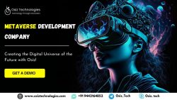 Metaverse Development Company