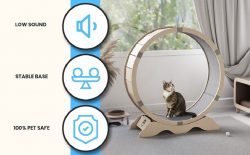 Cat Excersize Wheel