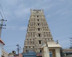 Tirupati to Nellore Bus Price | Tirupati to Nellore Bus Ticket