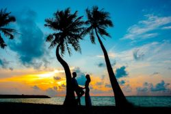 kerala honeymoon packages