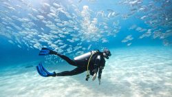 Phuket Diving Package