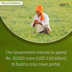 Pradhan Mantri Fasal Bima Yojana – Empowering Farmers, Safeguarding Crops