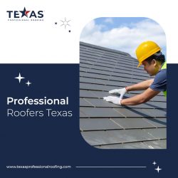 Professional Roofers Texas