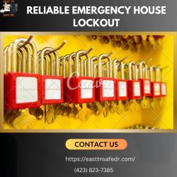 Reliable Emergency House Lockout