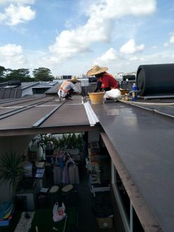 Roof Contractor Singapore | Roofing Specialist | Roofing Singapore – GDT Roofing and Services