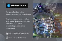 Minecraft Studio For Hire