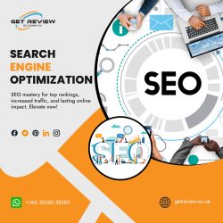 Small Business SEO