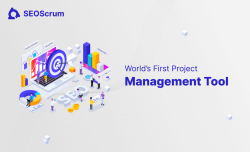 World’s First Project Management for SEO Team