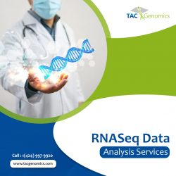 Single Cell RNA SEQ Analysis Pipeline