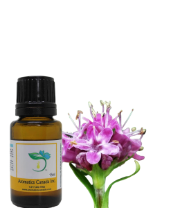 Spikenard Organic Essential Oil