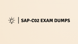 SAP-CExam Dumps Uncovered: Tips for Effective Utilization