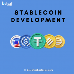 Stablecoin development company